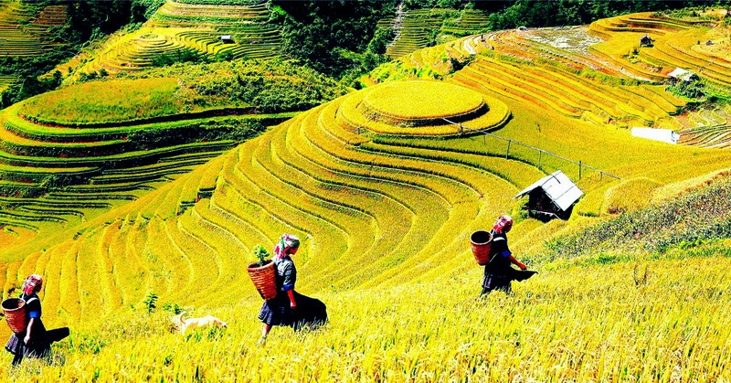 Thời[-]tiết[-]ngày[-]13/12:[-]Bắc[-]bộ[-]hửng[-]nắng[-]nhưng[-]vẫn[-]lạnh[-]giá